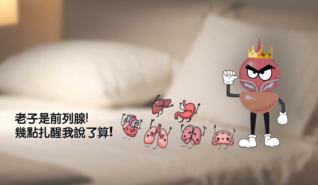 半夜頻尿，是腦在作怪還是前列腺的悄悄話？😴💤