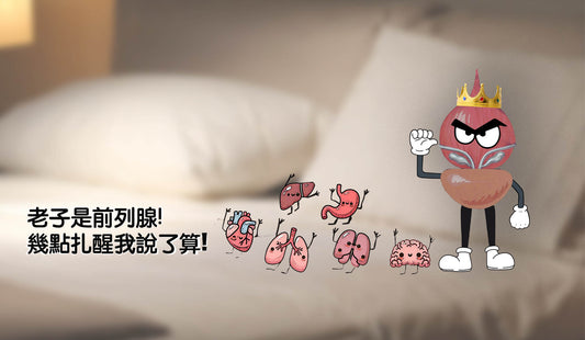 半夜頻尿，是腦在作怪還是前列腺的悄悄話？😴💤